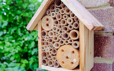 The Bee Hotel .